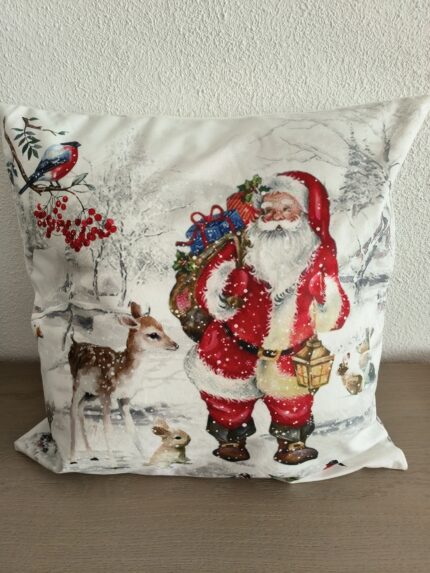 Kussenhoes met kussen 265