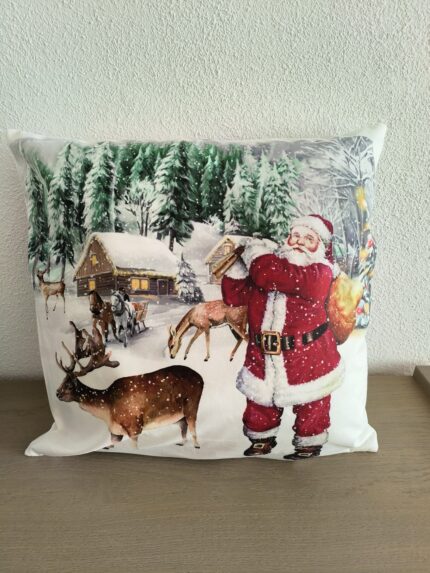 Kussenhoes met kussen 276