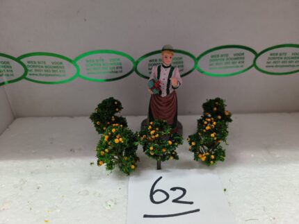 Foto 62 Klein sinasappelboompje