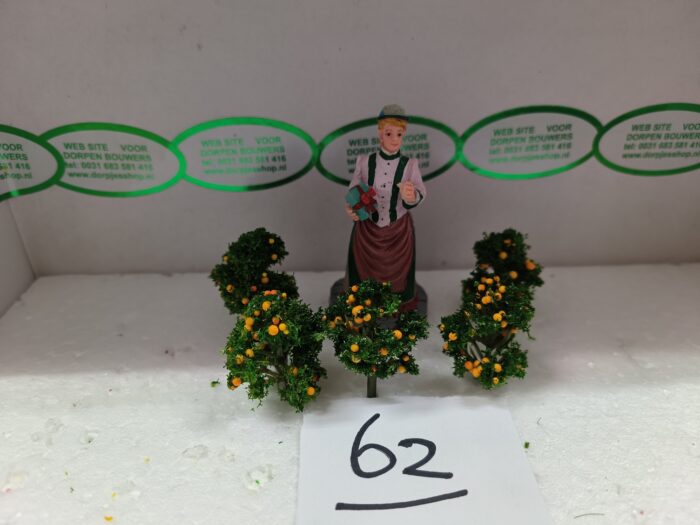 IMG20231025132725 Foto 62 Klein sinasappelboompje - Afbeelding 1