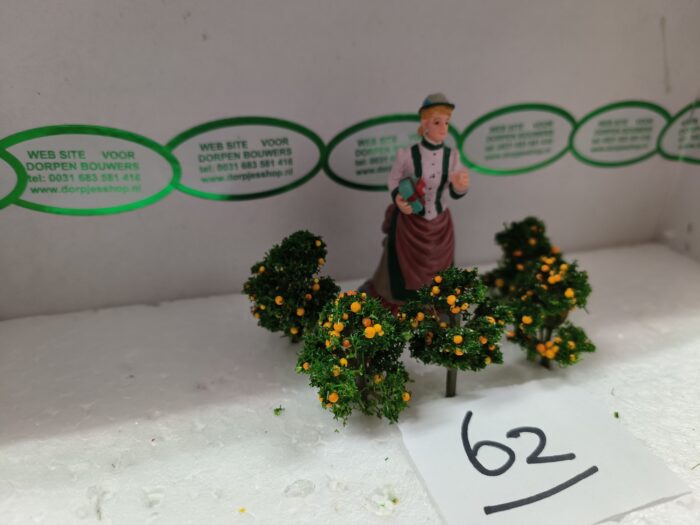 Foto 62 Klein sinasappelboompje - Afbeelding 2