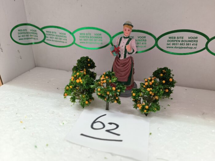 Foto 62 Klein sinasappelboompje - Afbeelding 3