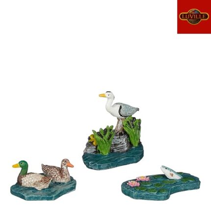 Heron and ducks