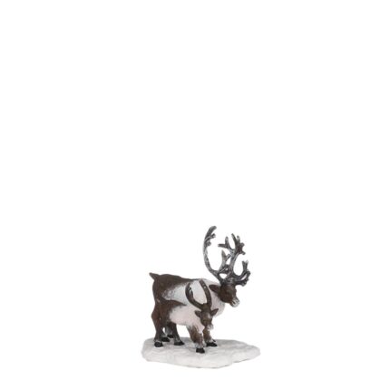 Reindeers