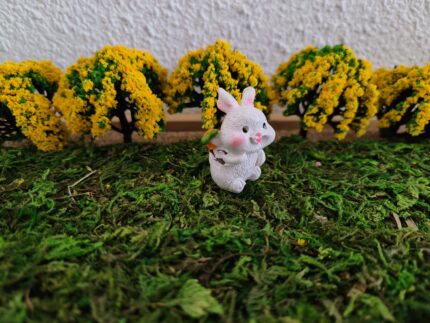 Konijn wortel op rug