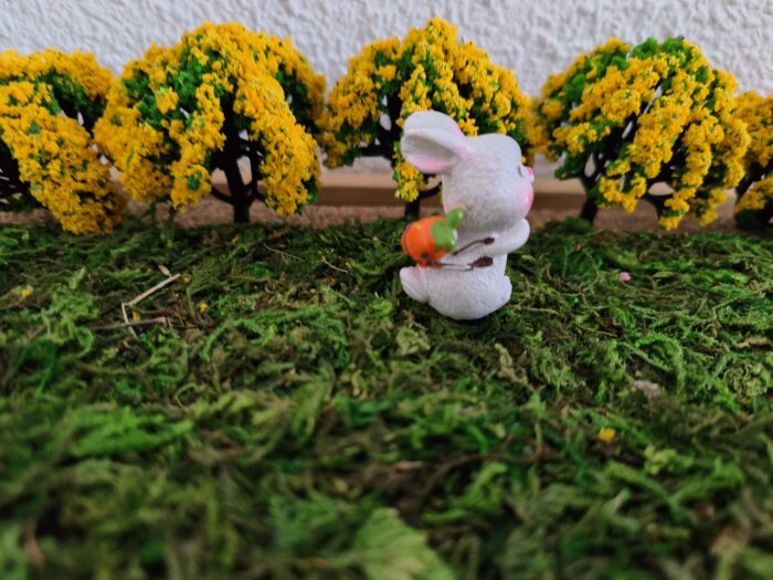 Konijn wortel op rug - Afbeelding 2