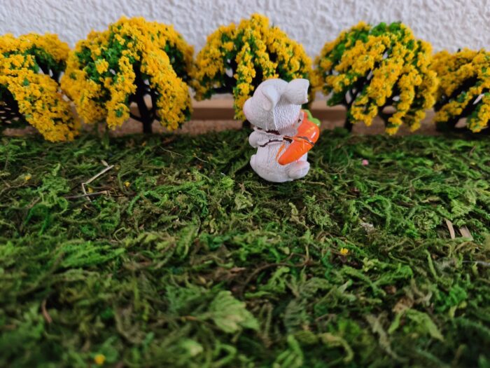 Konijn wortel op rug - Afbeelding 3