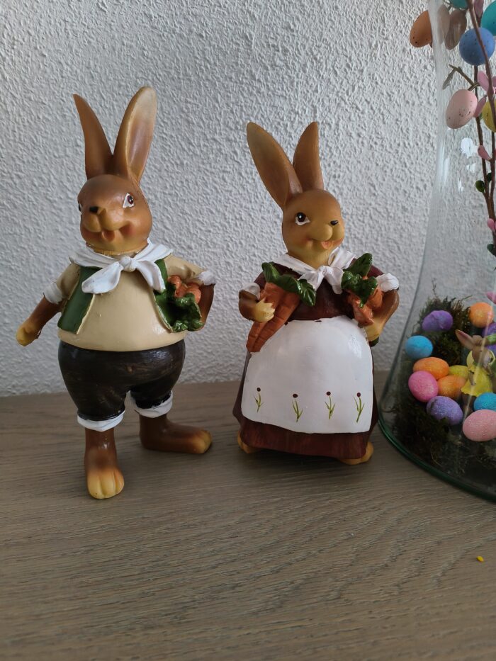 Konijnen echtpaar - Afbeelding 2