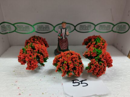 Foto 55 Struikje Groen/Rood-Orange