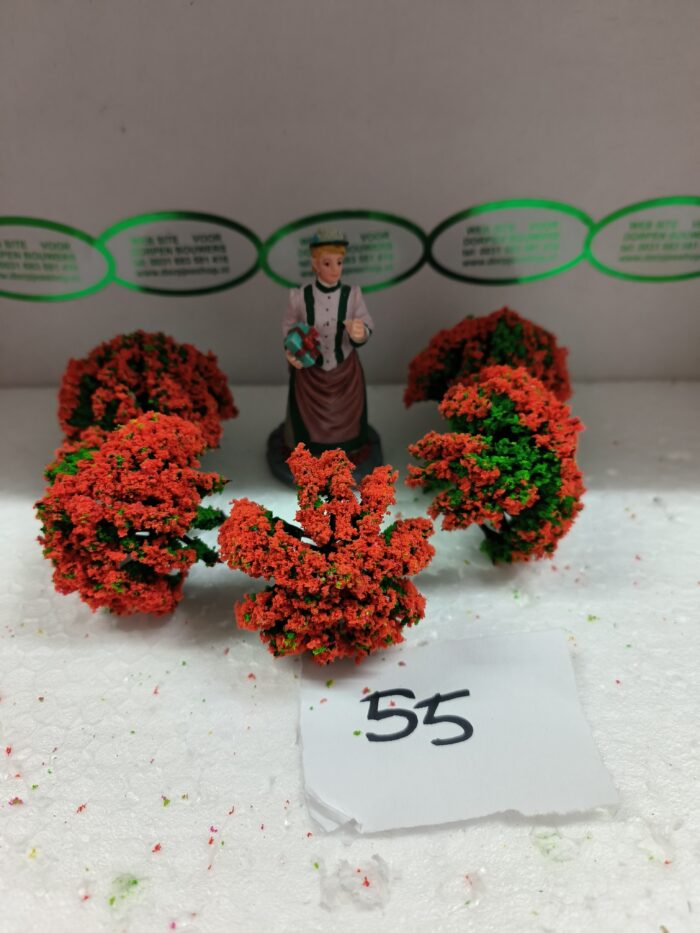 Foto 55 Struikje Groen/Rood-Orange - Afbeelding 2