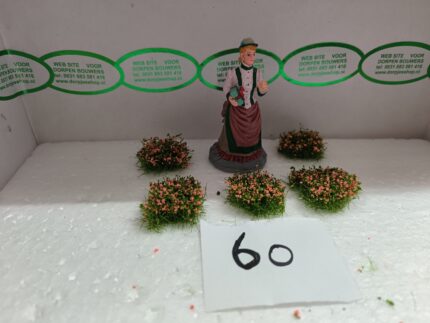 Foto 60 Plukjes gras-rose