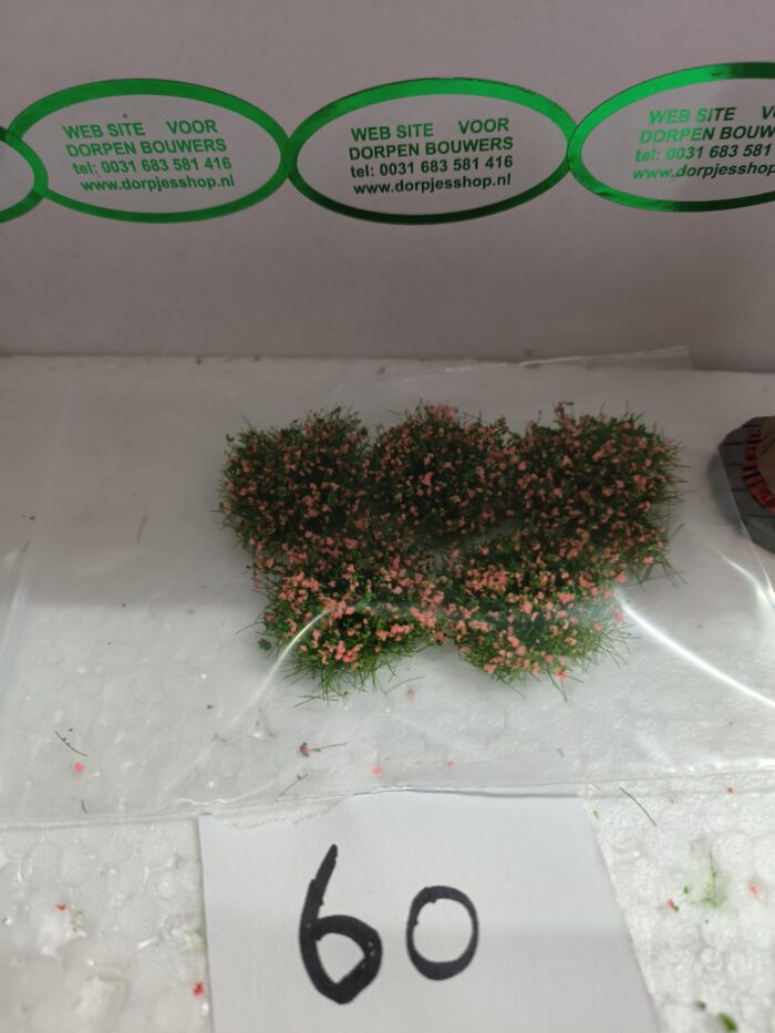 Foto 60 Plukjes gras-rose - Afbeelding 4