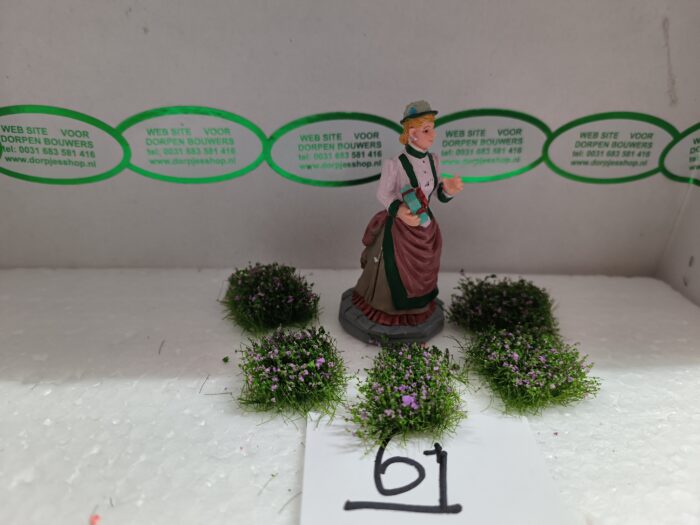 IMG20231025104358 Foto 61 Plukjes gras-paars - Afbeelding 1