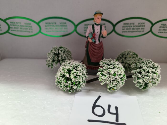 Foto 64 Struikje Wit - Afbeelding 2