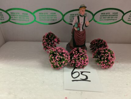 Foto 65 Struikje Licht rose