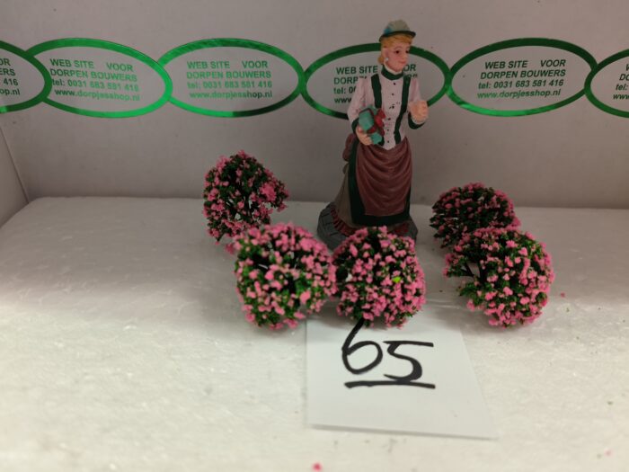 IMG20231108173017 Foto 65 Struikje Licht rose - Afbeelding 1