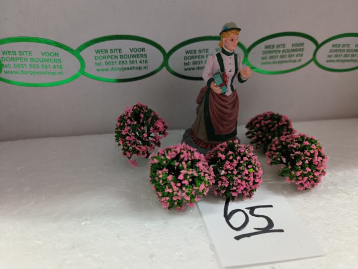 Foto 65 Struikje Licht rose - Afbeelding 2