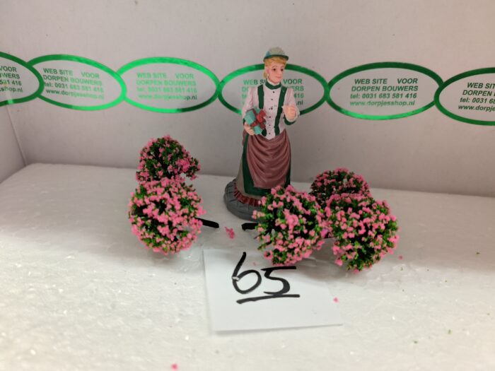 Foto 65 Struikje Licht rose - Afbeelding 3