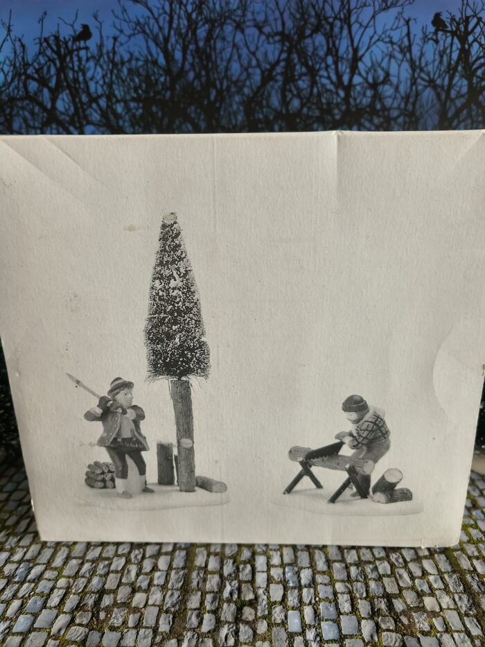 2 lumberjacks Lumberjacks - Afbeelding 1