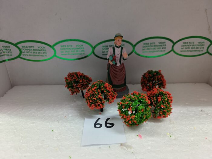 IMG20240402100551 Foto 66 Struikjes Groen/Orange - Afbeelding 1