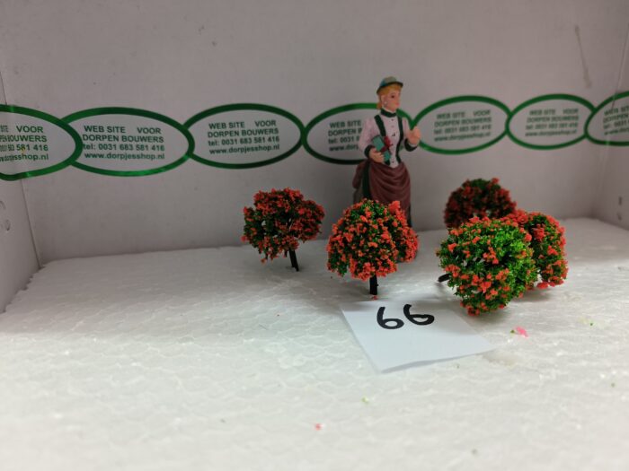 Foto 66 Struikjes Groen/Orange - Afbeelding 2