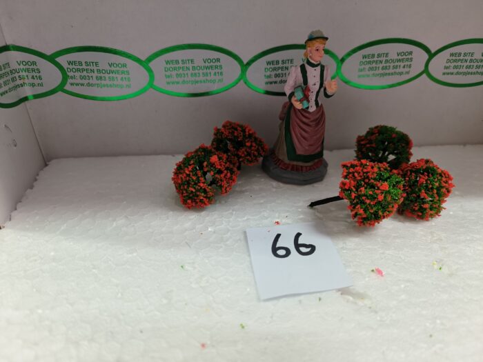 Foto 66 Struikjes Groen/Orange - Afbeelding 3