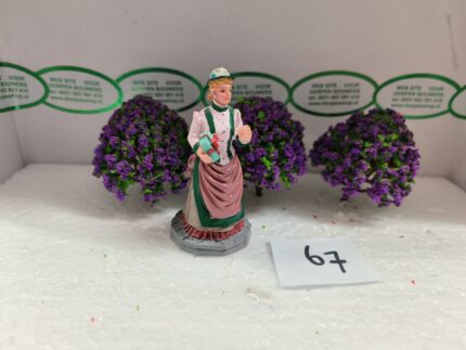 Foto 67 Struiken Paars