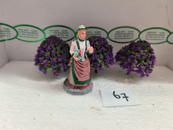 Foto 67 Struiken Paars - Afbeelding 1