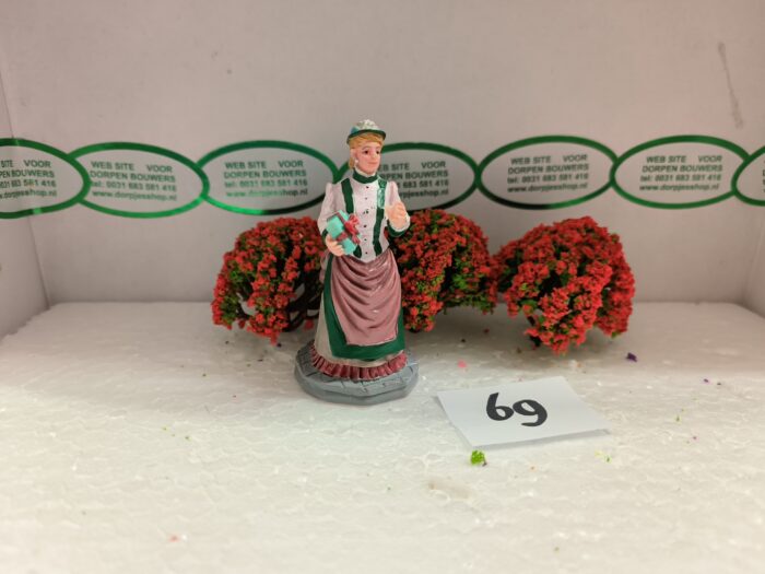 IMG20240402101643 Foto 69 Struiken Groen/Orange/Rood - Afbeelding 1