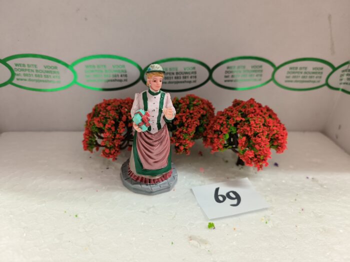 Foto 69 Struiken Groen/Orange/Rood - Afbeelding 2