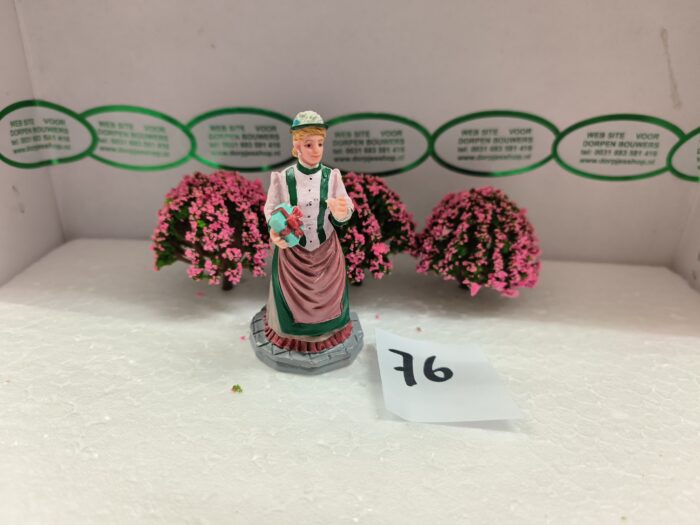 IMG20240402101951 Foto 76 Struiken Groen/Rose - Afbeelding 1