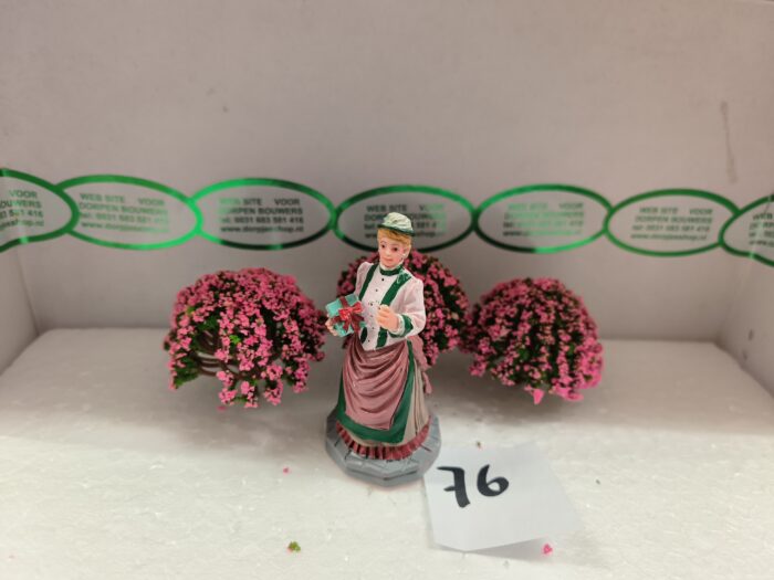 Foto 76 Struiken Groen/Rose - Afbeelding 2