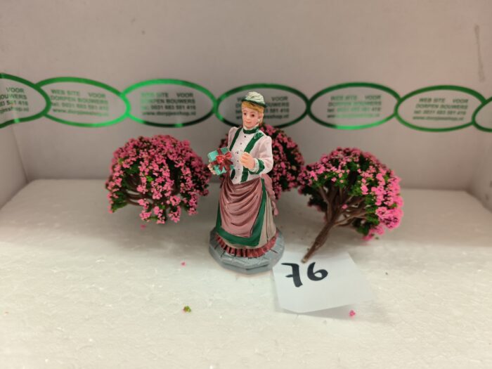 Foto 76 Struiken Groen/Rose - Afbeelding 3