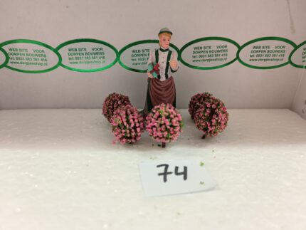 Foto 74 Bloembolletjes Groen/Rose