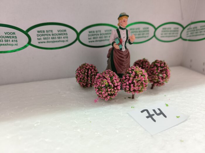 Foto 74 Bloembolletjes Groen/Rose - Afbeelding 2