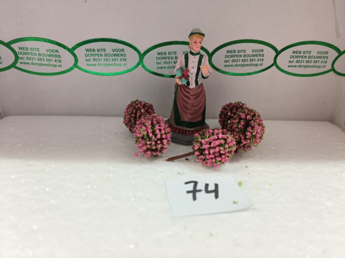 Foto 74 Bloembolletjes Groen/Rose - Afbeelding 3