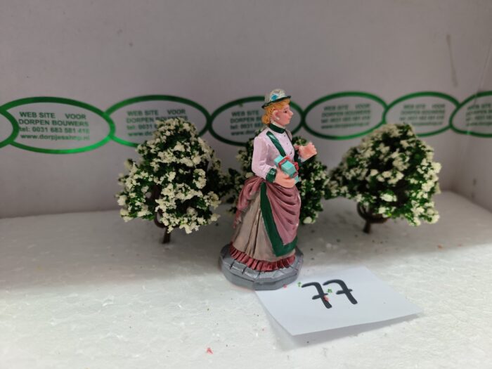 Foto 77 Struiken Groen/Wit - Afbeelding 2