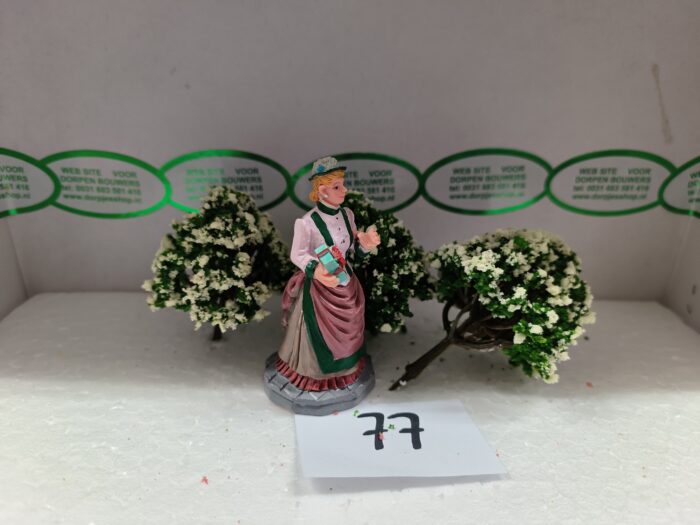 Foto 77 Struiken Groen/Wit - Afbeelding 3