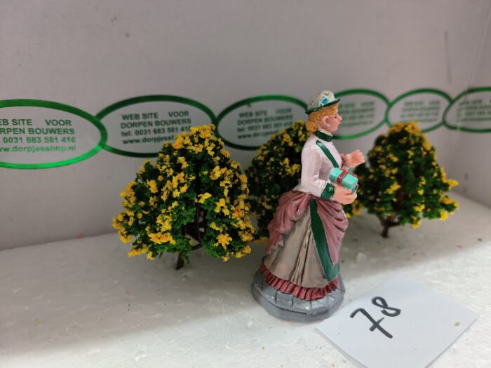 Foto 78 Struiken Groen/Geel - Afbeelding 2