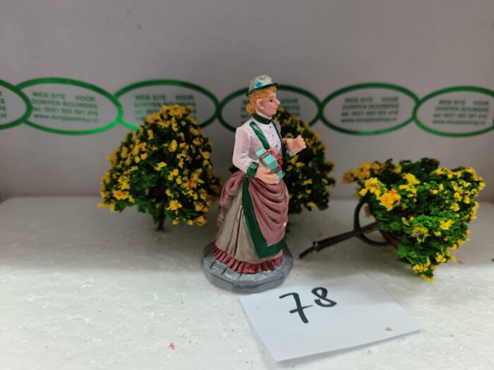 Foto 78 Struiken Groen/Geel - Afbeelding 3