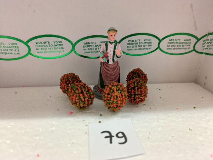 Foto 79 Bloembolletjes Groen/Orange-Rood - Afbeelding 1