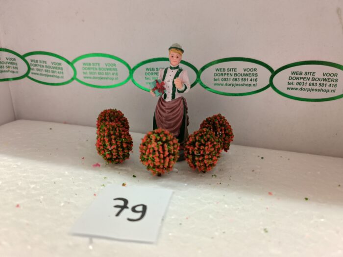 Foto 79 Bloembolletjes Groen/Orange-Rood - Afbeelding 2