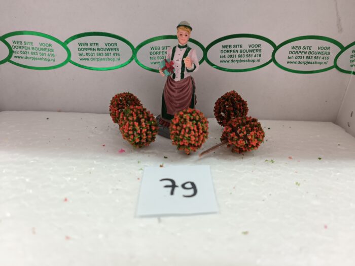 Foto 79 Bloembolletjes Groen/Orange-Rood - Afbeelding 3