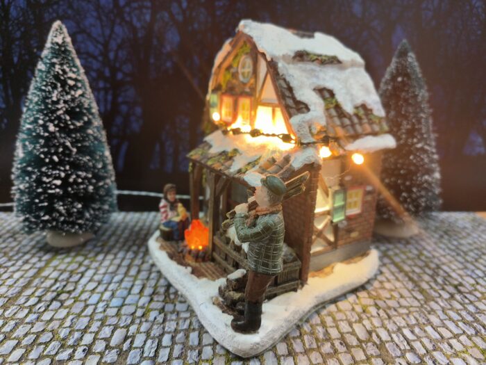 Farm ville - Afbeelding 4