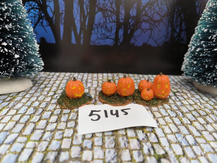 IMG20240517144914 Foto 5145/49 Jack-O-Lanterns - Afbeelding 1