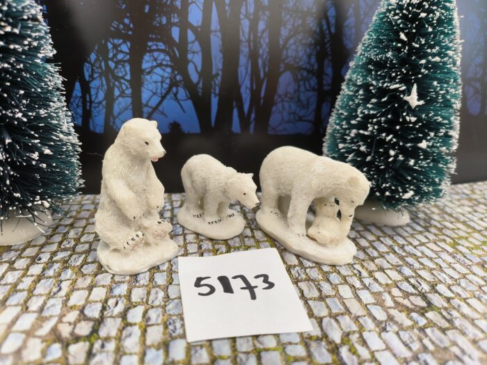 IMG20240526163637 Foto 5173/50 Polar Bears - Afbeelding 1