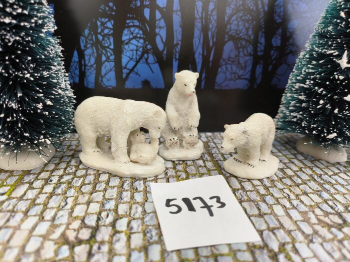 IMG20240526163704 Foto 5173/50 Polar Bears - Afbeelding 3