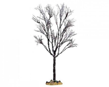 Butternut Tree, Large