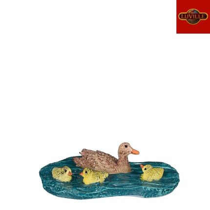 Ducks