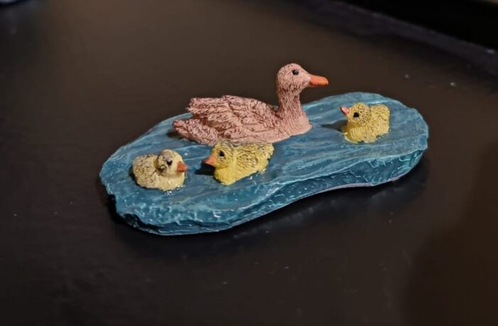 Ducks - Afbeelding 2